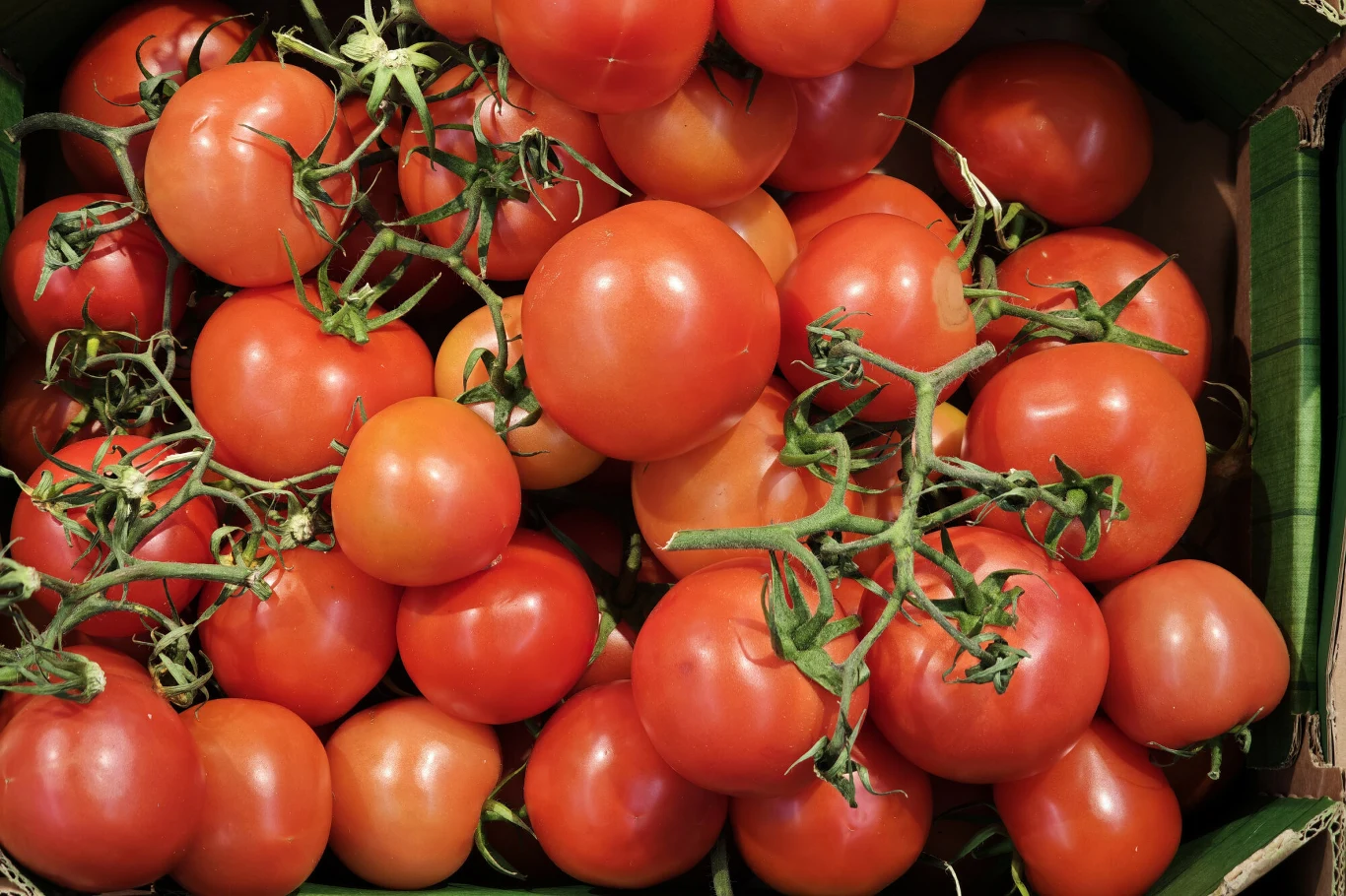 Świeże, czerwone pomidory z zielonymi szypułkami, leżące razem w kartonowym pudełku, ukazujące ich błyszczące, gładkie skórki i naturalną formę.