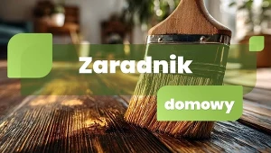 Zaradnik domowy