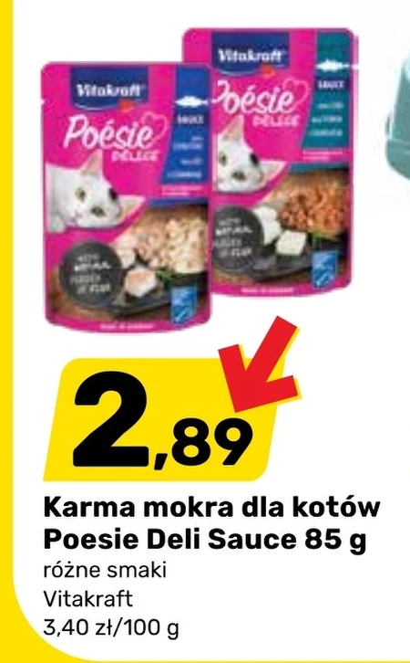 Вологий корм для котів Vitakraft