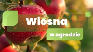 Wiosenne prace w ogrodzie