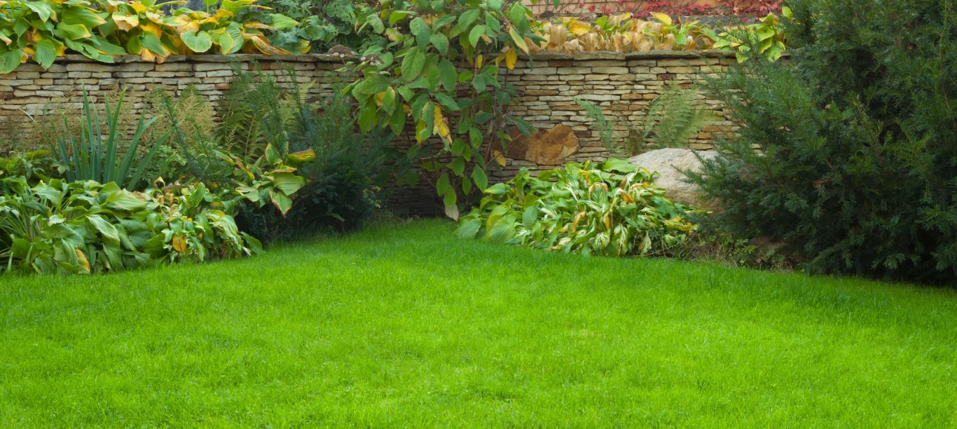 Aby zapobiec pojawieniu się chwastów, istotna jest systematyczna pielęgnacja