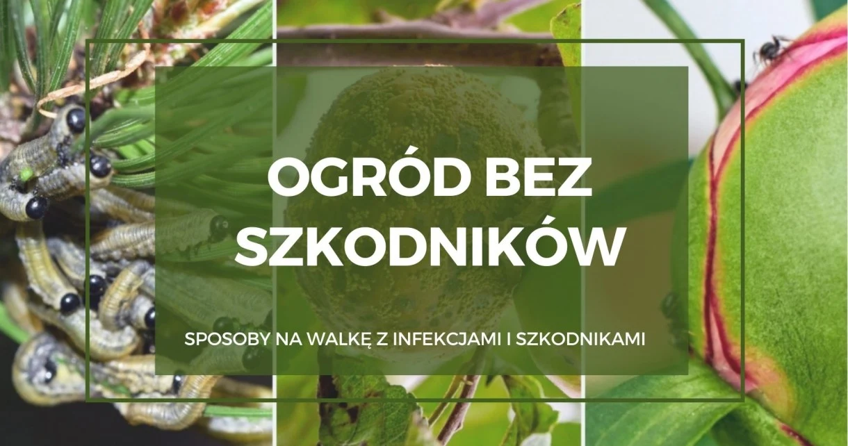 ogród bez szkodników
