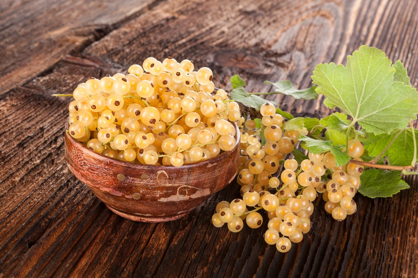 Biała porzeczka ma najsłodszy smak ze wszystkich innych odmian