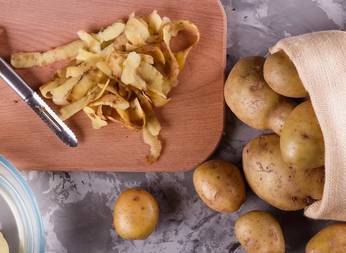 Obierki z ziemniaków mają szereg zastosowań w ogrodzie