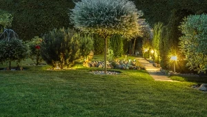 Nawet w małym ogrodzie można posadzić drzewa iglaste i liściaste.