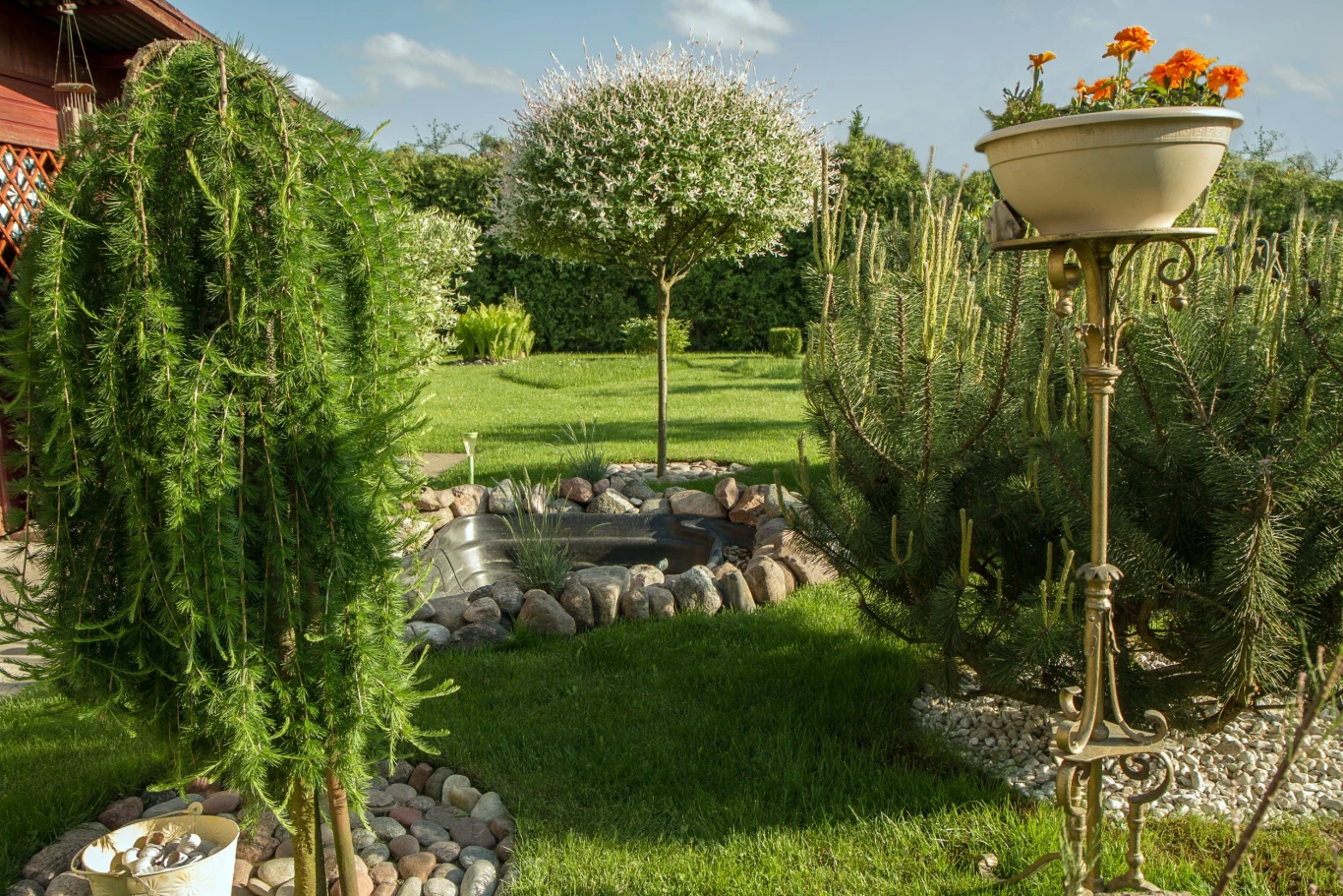 Niskie iglaki świetnie sprawdzą się w małych ogrodach