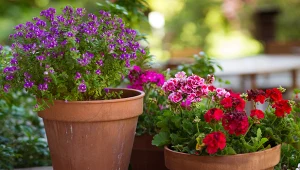 Chcesz stworzyć modną czerwono-fioletową kompozycję kwiatową w misie? Postaw na te kwiaty