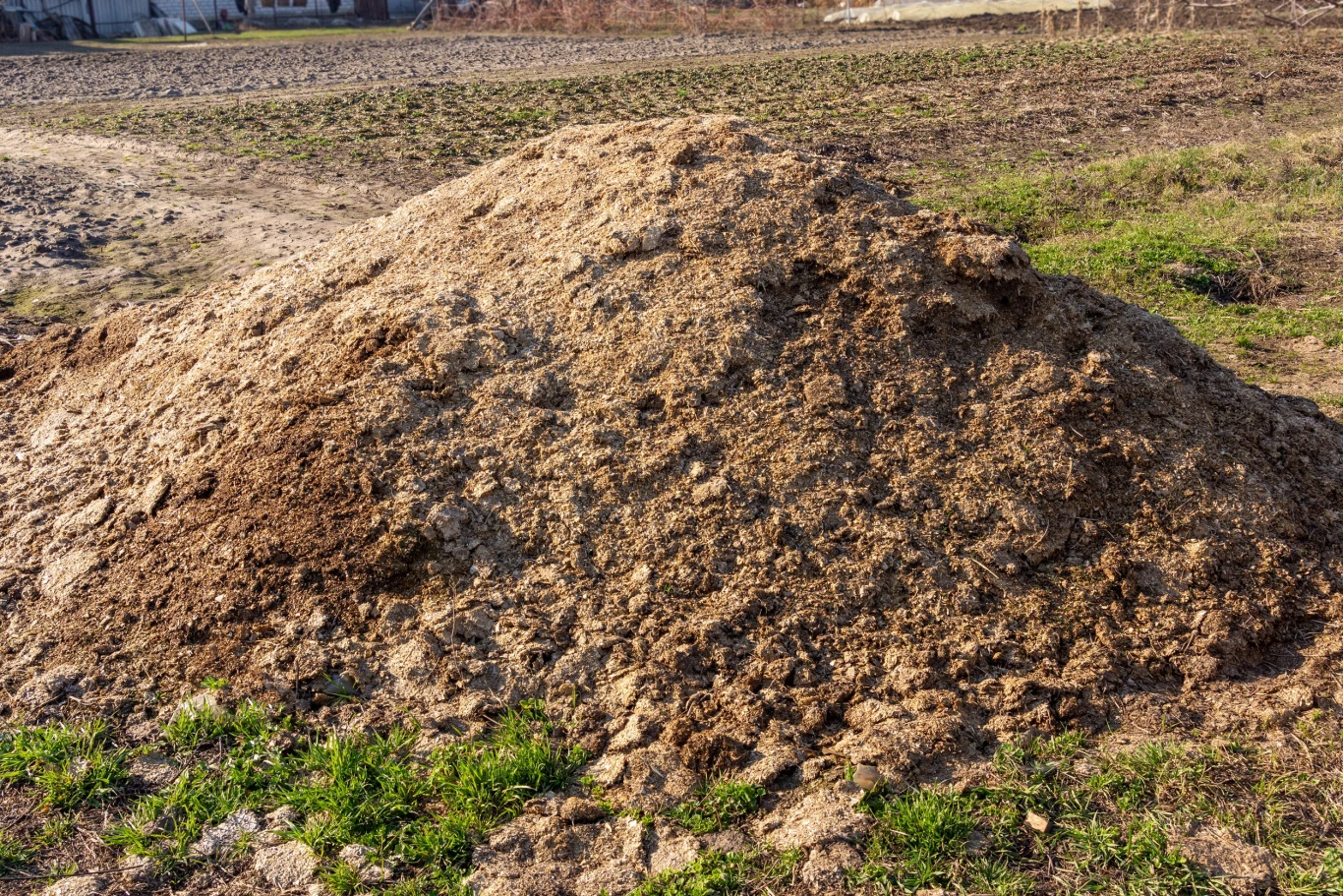 Winorośl można zasilać nawozami zarówno organicznymi, jak i naturalnymi