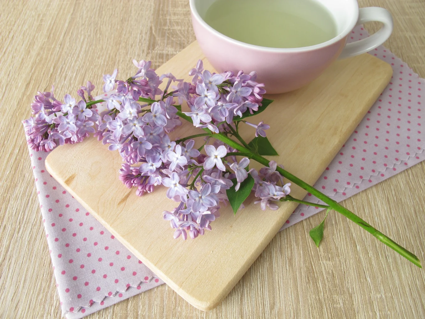 Z kwiatów lilaka można przygotowywać lecznicze napary