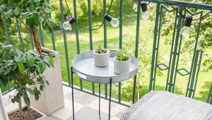 Minidrzewka ładnie udekorują balkon