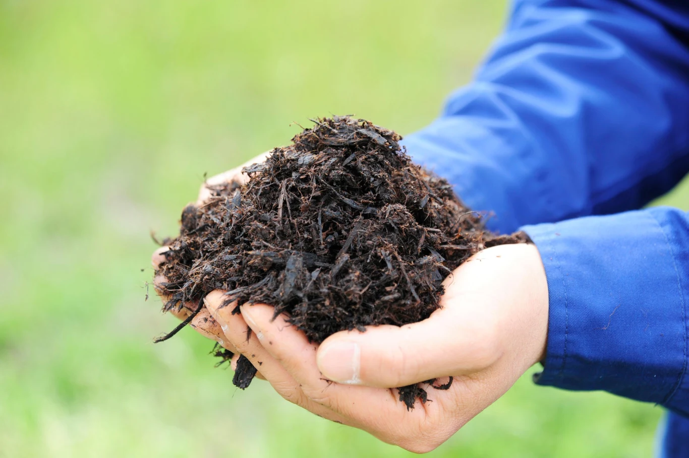 Kompost sprawdzi się również jako materiał do ściółkowania