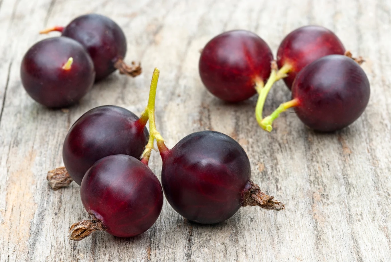 owoce porzeczkoagrestu