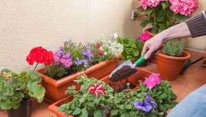 Wiszące skrzynki to świetny sposób, by zaoszczędzić trochę miejsca na balkonie i ozdobić go w nieoczywisty sposób.