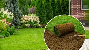 Ile faktycznie kosztuje trawnik z rolki? To rozwiązanie nie dla każdego.