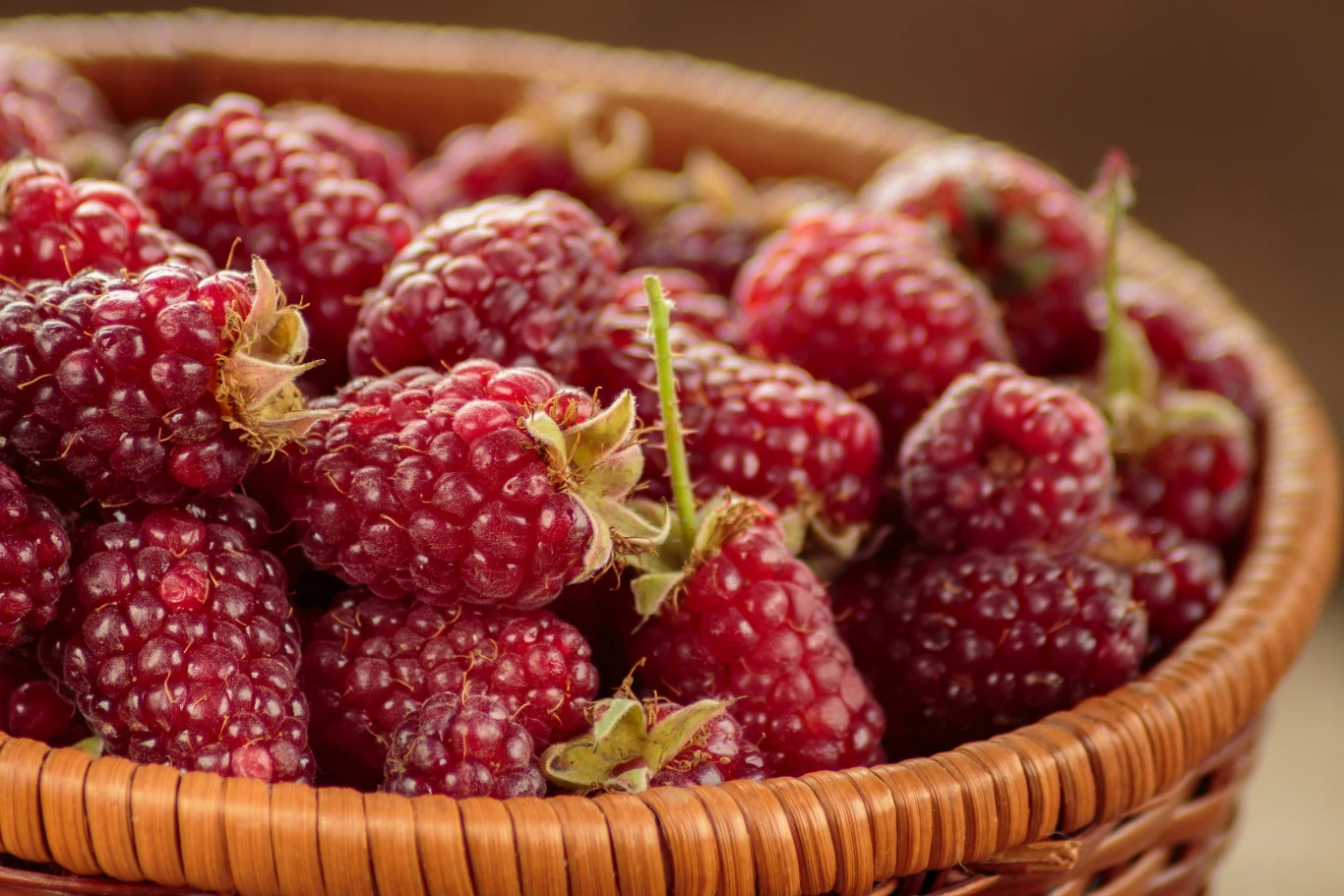 Owoce jeżynomalin mają doskonały smak