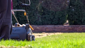 Czym są aeracja i wertykulacja trawnika?