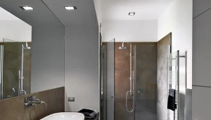 W większości przypadków kabiny walk-in nie posiadają brodzików.