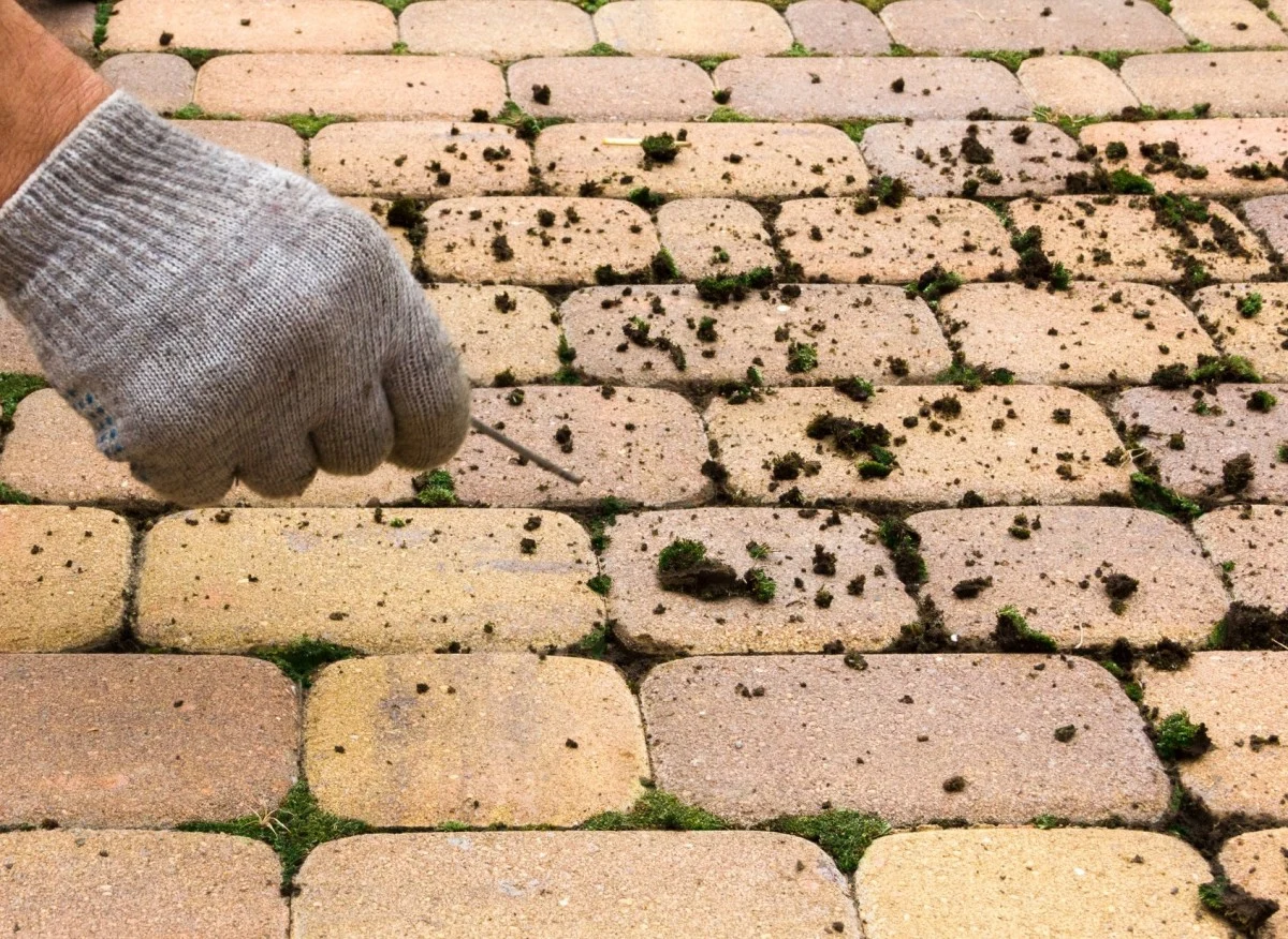 Popularny napój wyczyści kostkę brukową z najtrudniejszych plam