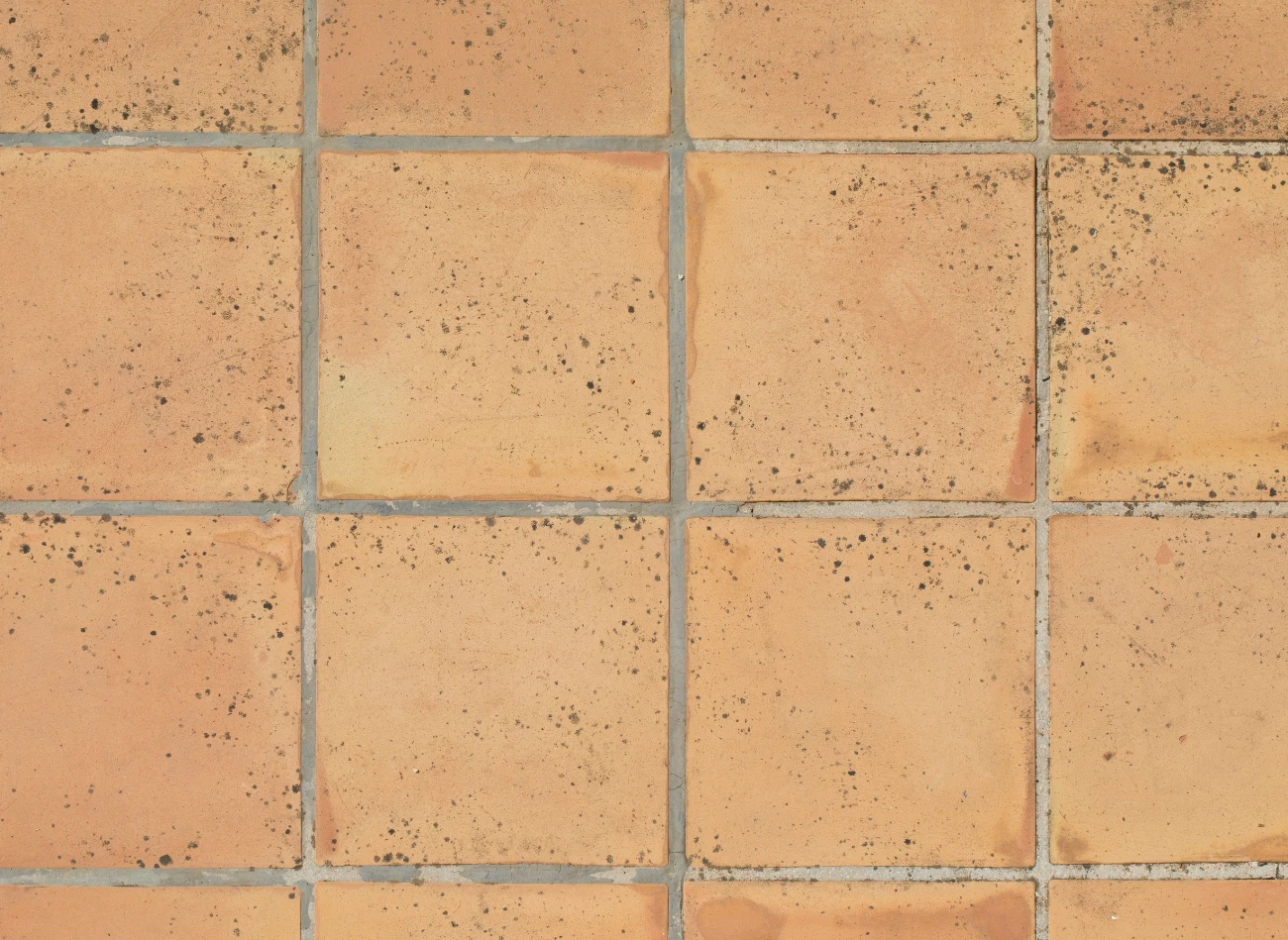 Płytki z terakoty są wytrzymałe i odporne na uszkodzenia