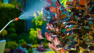 W kwietniu pięknie prezentuje się już rabata kwiatowa i ozdobne krzewy.