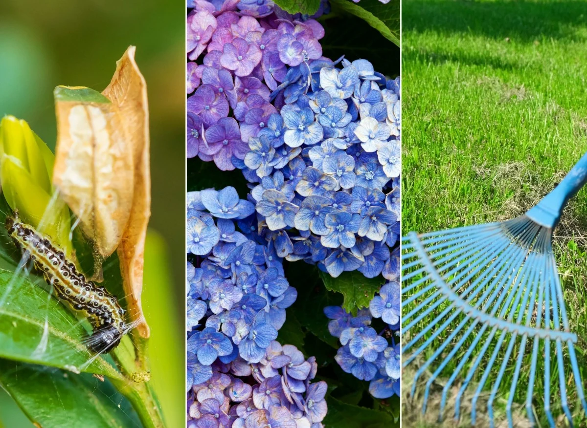 Co robimy w ogrodzie w kwietniu