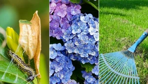 Co robimy w ogrodzie w kwietniu ? Wyjaśniamy.