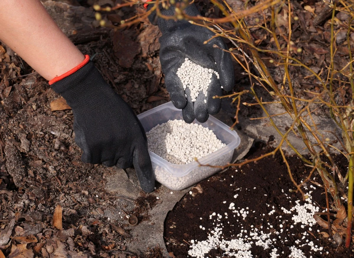 Dolomit ogrodniczy najczęściej jest stosowany jako nawóz odkwaszający glebę