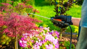 Miedzian w uprawach ekologicznych – jak i kiedy stosować?