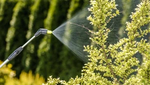 Czym są opryski z mikroorganizmami? Wyjaśniamy