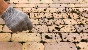 Popularny napój wyczyści kostkę brukową z najtrudniejszych plam.