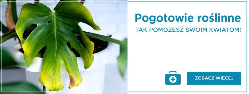 pogotowie roślinne