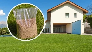 Najlepsza mieszanka nasion na trawnik. Murawa będzie odporna na deptanie.