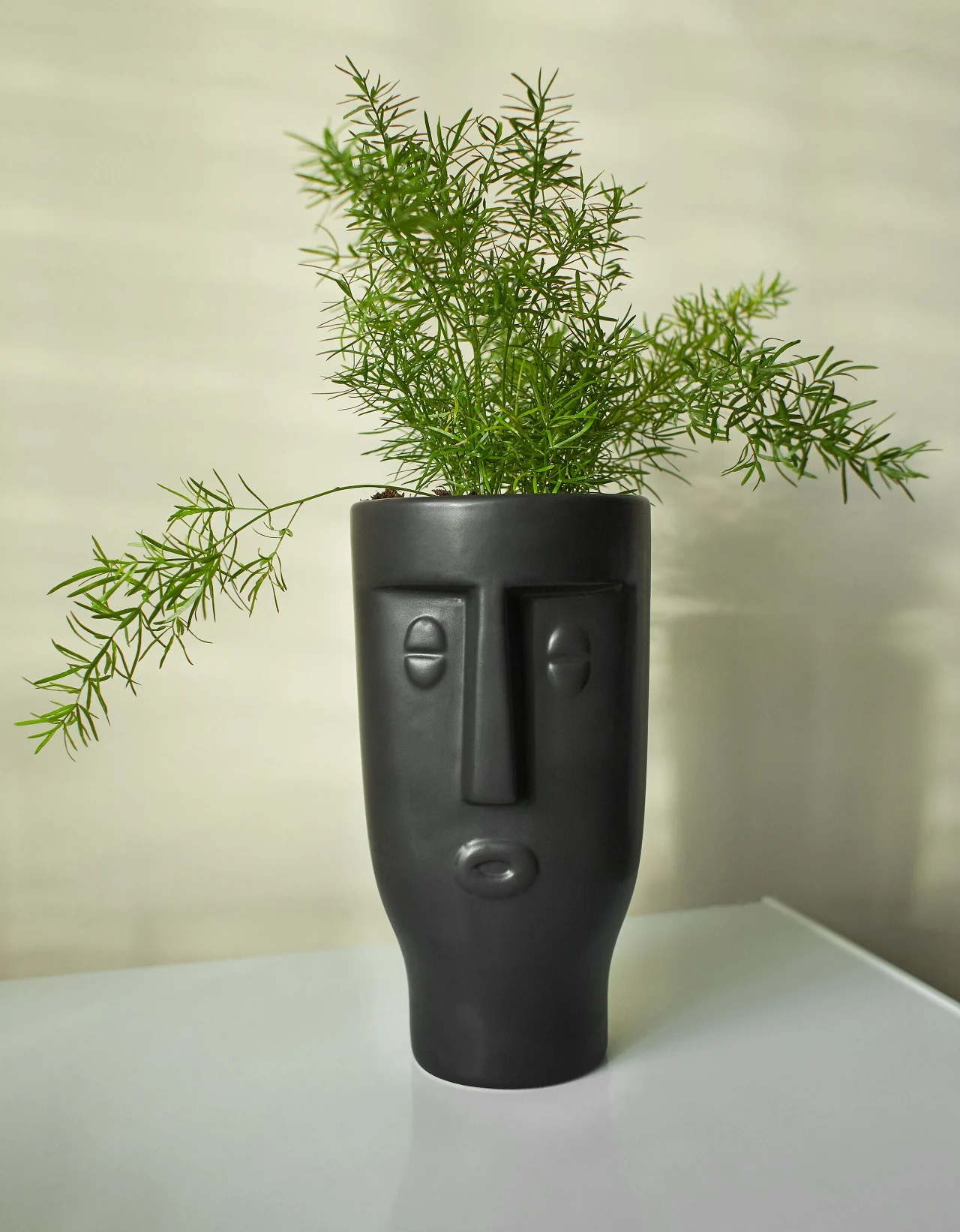 Asparagusy moga zaszkodzic twoim pupilom