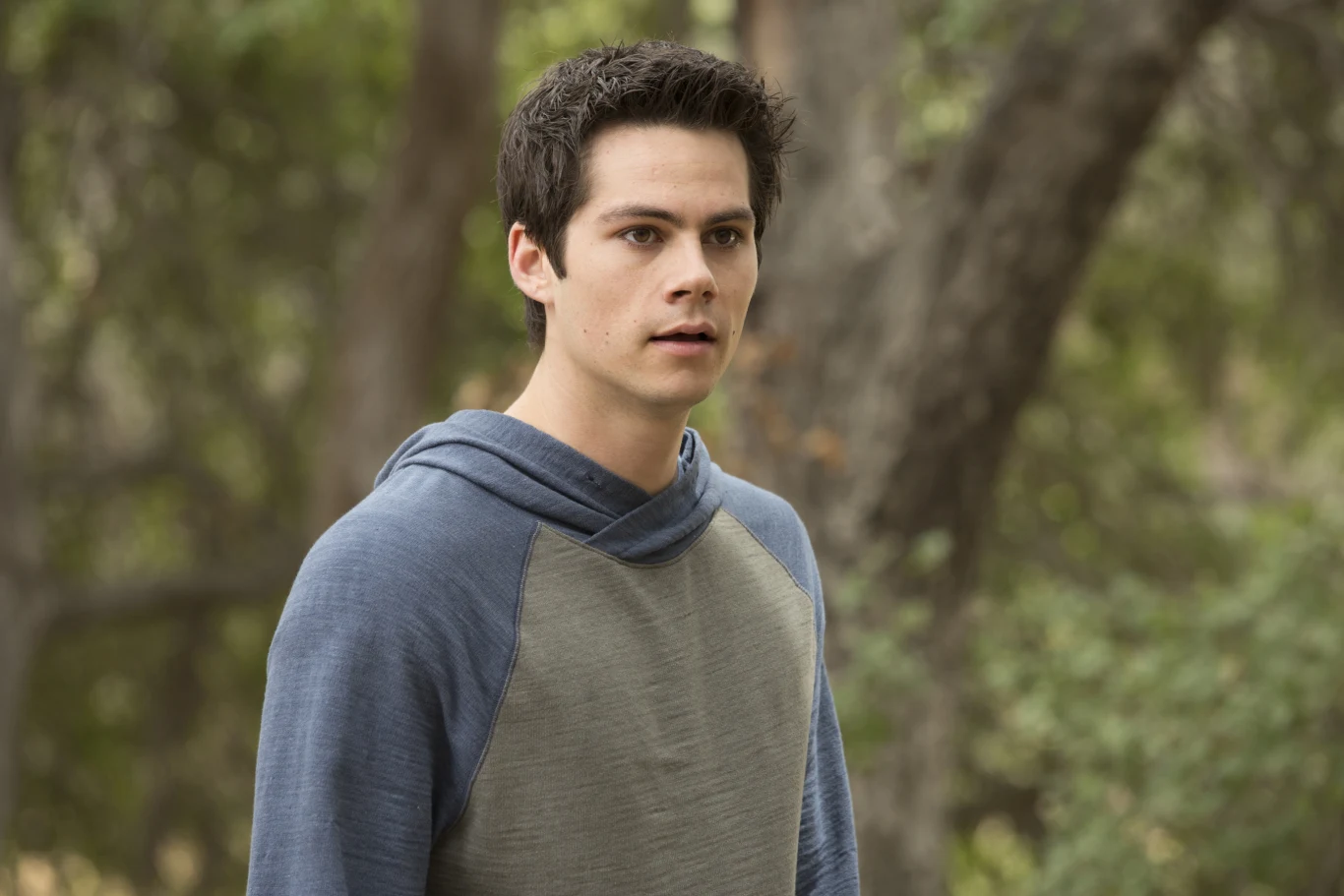 Dylan O'Brien w serialu "Teen Wolf: Nastoletni wilkołak" Młody mężczyzna o ciemnych włosach w bluzie z długim rękawem stoi na tle rozmytej zieleni lasu, ma poważny wyraz twarzy, wokół niego drzewa i naturalna roślinność.