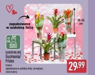 Фрізе Gardenline