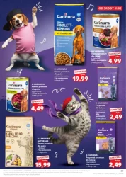 Miłość do walentynek to nie grzech! - Kaufland