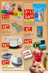 Strefa active - Auchan Hipermarket