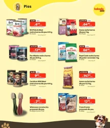 Promocje na medal - Kakadu