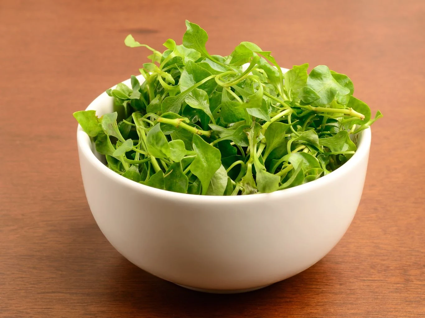 Rzadko kupujemy tę wartościową roślinę, z powodzeniem można ją uprawiać w domu. Rzadko kupujemy tę wartościową roślinę, z powodzeniem można ją uprawiać w domu.