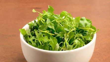 Rzadko kupujemy tę wartościową roślinę, z powodzeniem można ją uprawiać w domu.