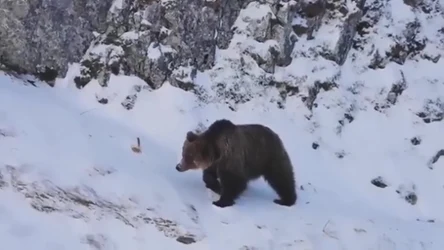 Czysta Polska - odcinek 249