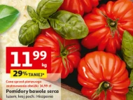 Pomidory