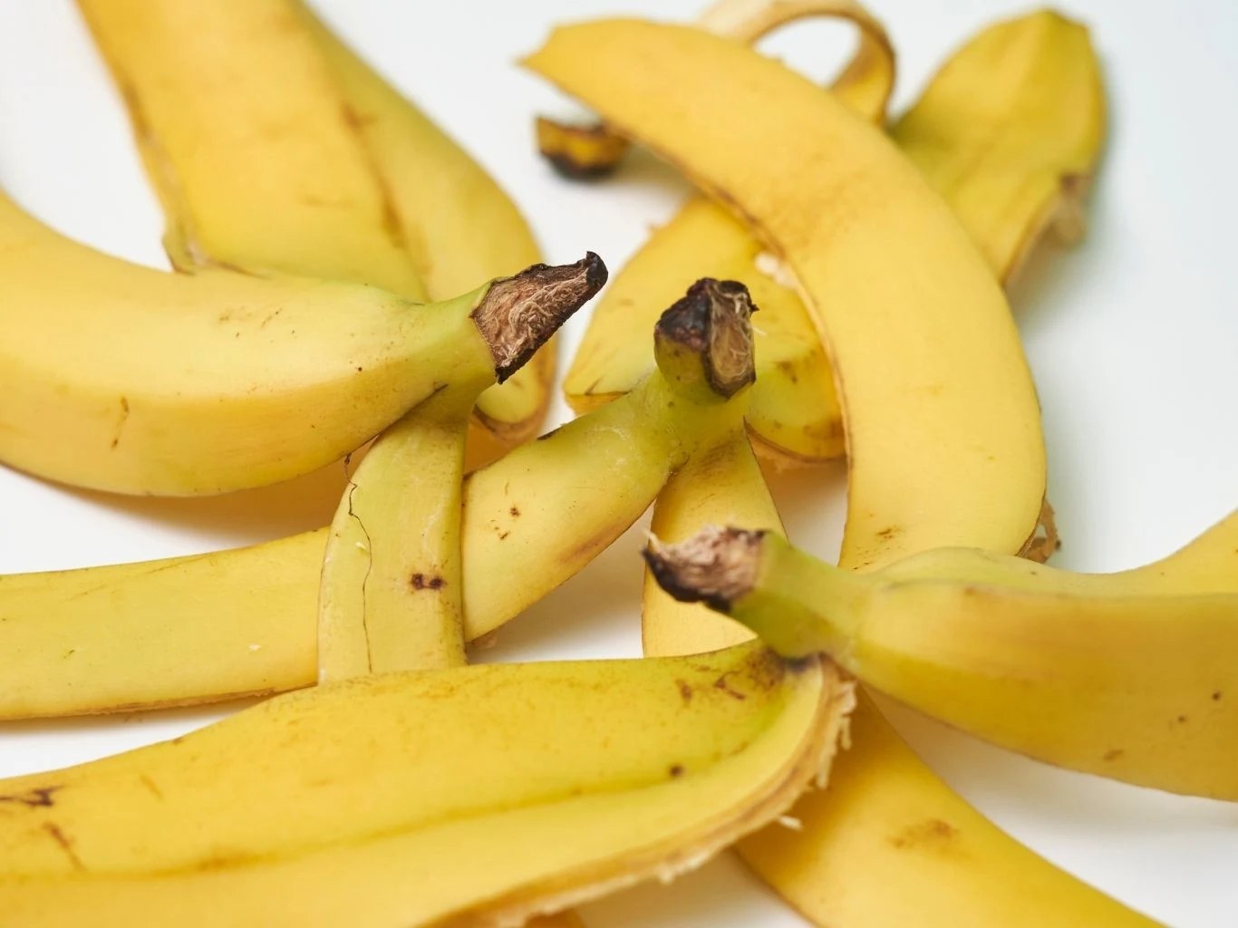 Kilka żółtych skórek banana, niektóre z nich są lekko przyciemnione na końcach.