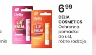 Pomadka ochronna Delia