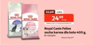 Karma dla kota Royal Canin