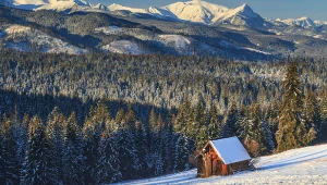 Znasz te przysłowia na luty? Sprawdź się w naszym quizie