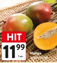 Mango San Lucar
