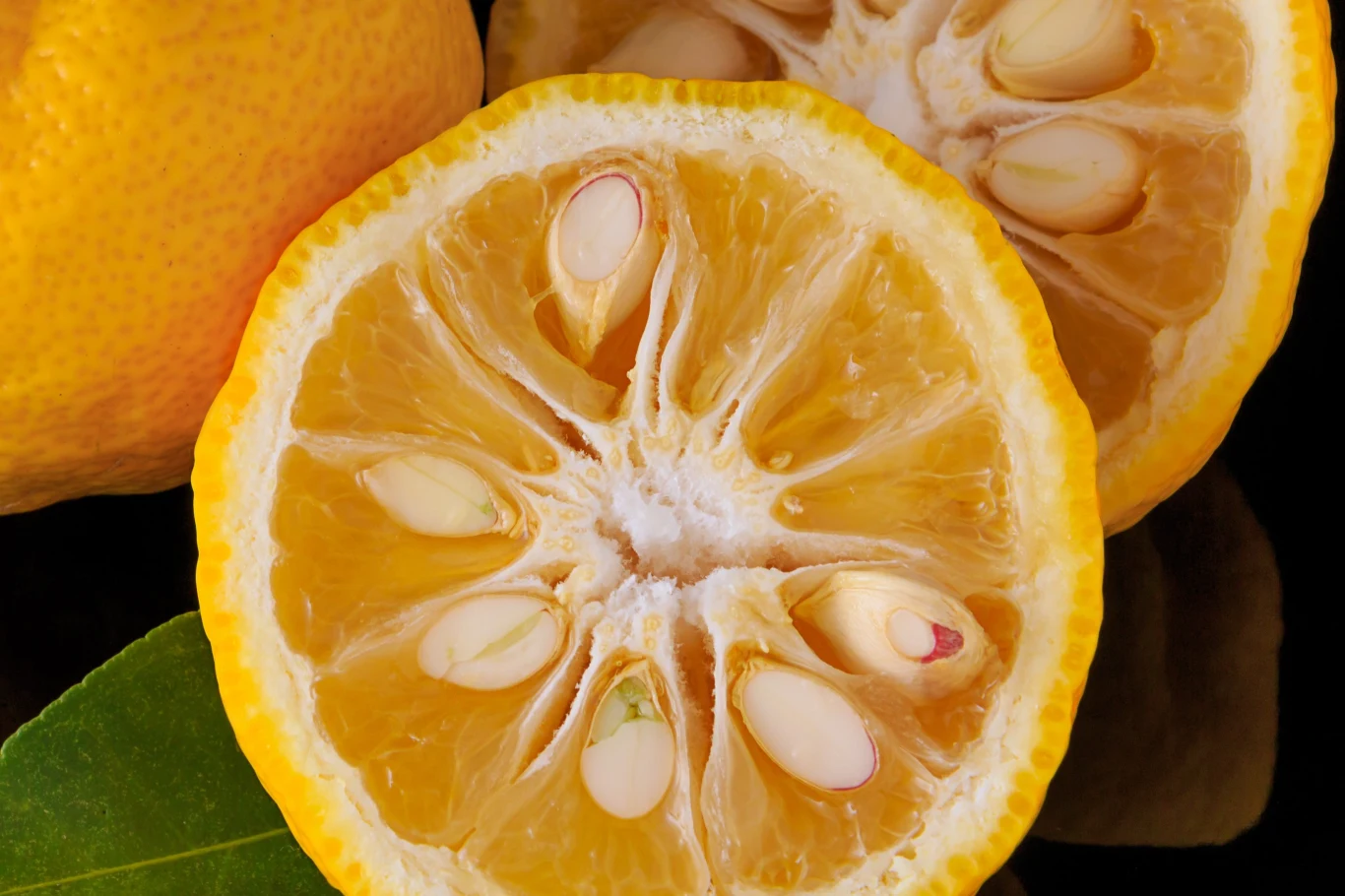 Przekrojone yuzu może zmylić wyglądem - jest w nim coś z mandarynki i z cytryny Połówka cytryny z licznymi dużymi pestkami w środku, widoczna soczysta miąższowa struktura, intensywnie żółta skórka, w tle zielony liść.