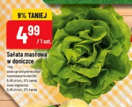 Масляний салат