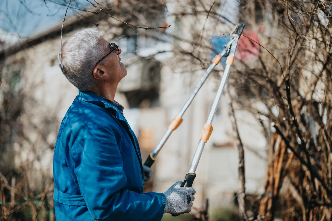 W lutym i na początku marca należy wykonać wiele prac ogrodowych w tym przycinanie i grabienie trawnika W lutym i na początku marca należy wykonać wiele prac ogrodowych w tym przycinanie i grabienie trawnika